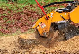 Reliable Erma, NJ Tree Removal Solutions